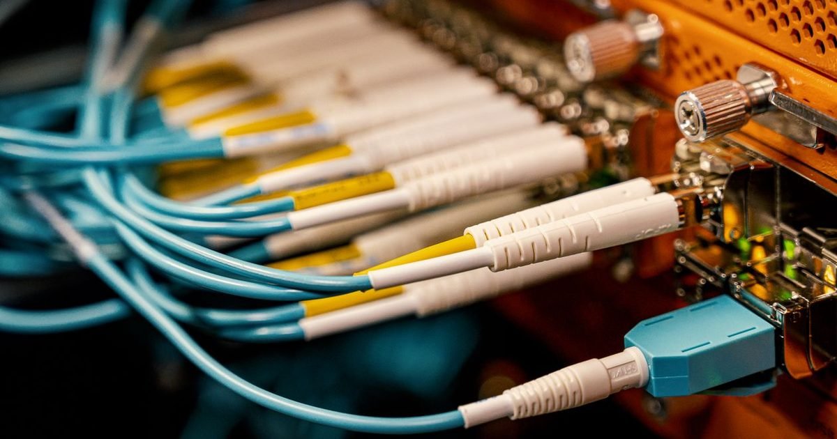Cận cảnh cáp quang màu xanh cắm vào thiết bị mạng trong trung tâm dữ liệu