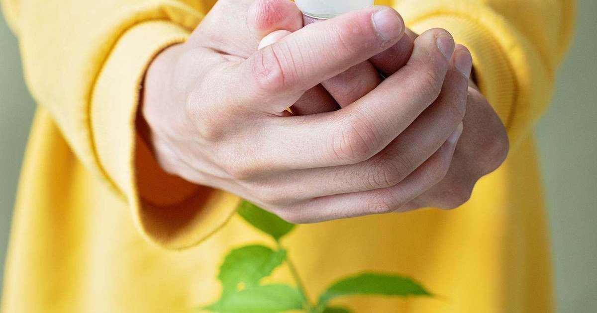 Quyền sở hữu tài sản trí tuệ do nhân viên tạo ra