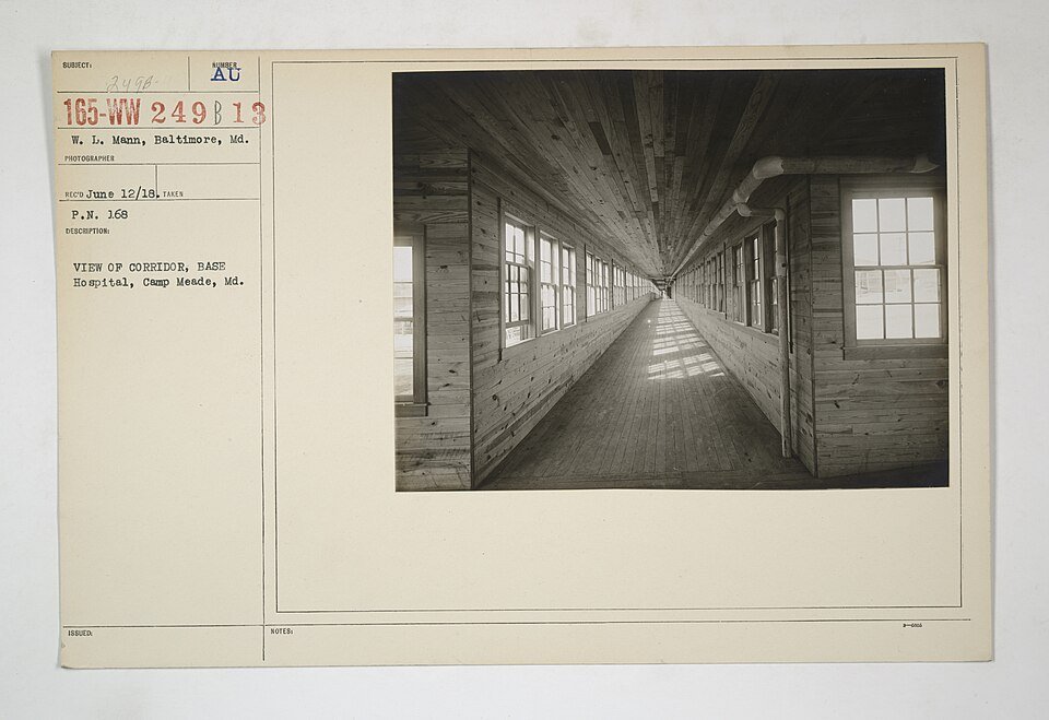 Doctor examining a patient