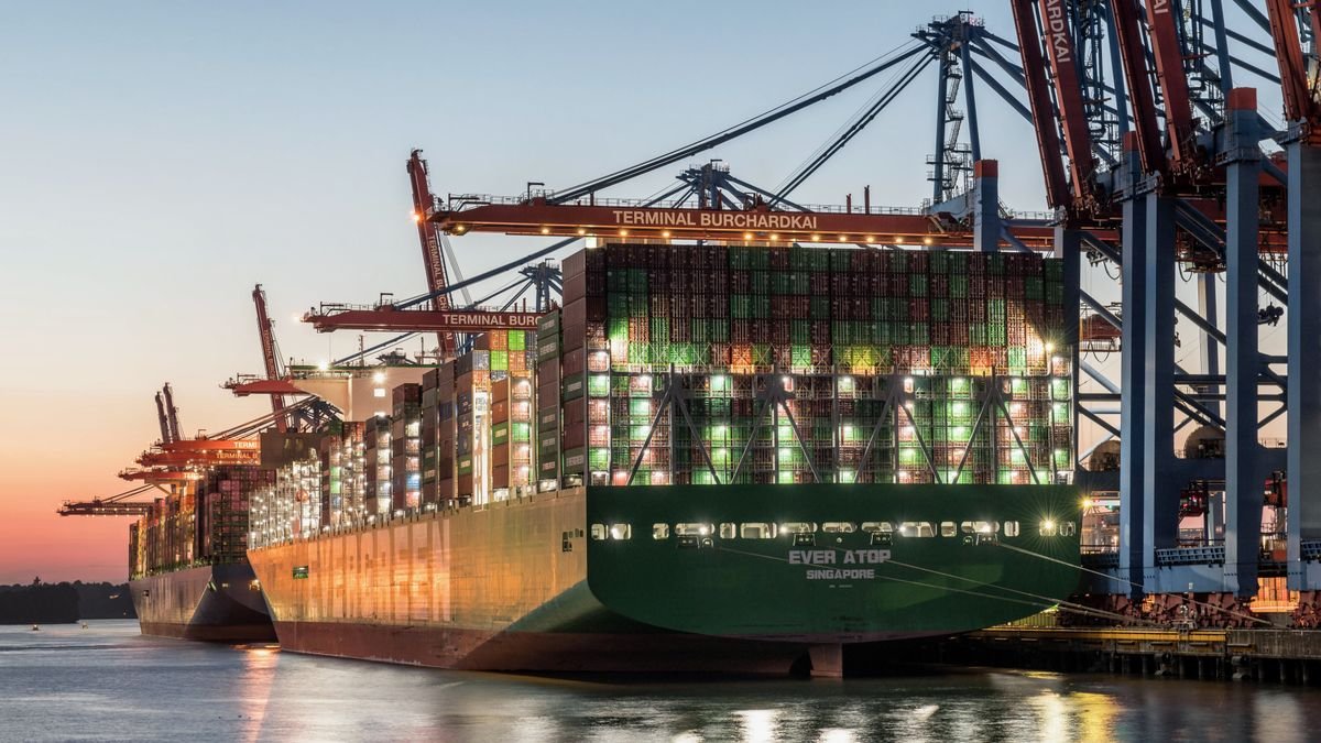 Container ships at the Port of Hamburg, illustrating global trade