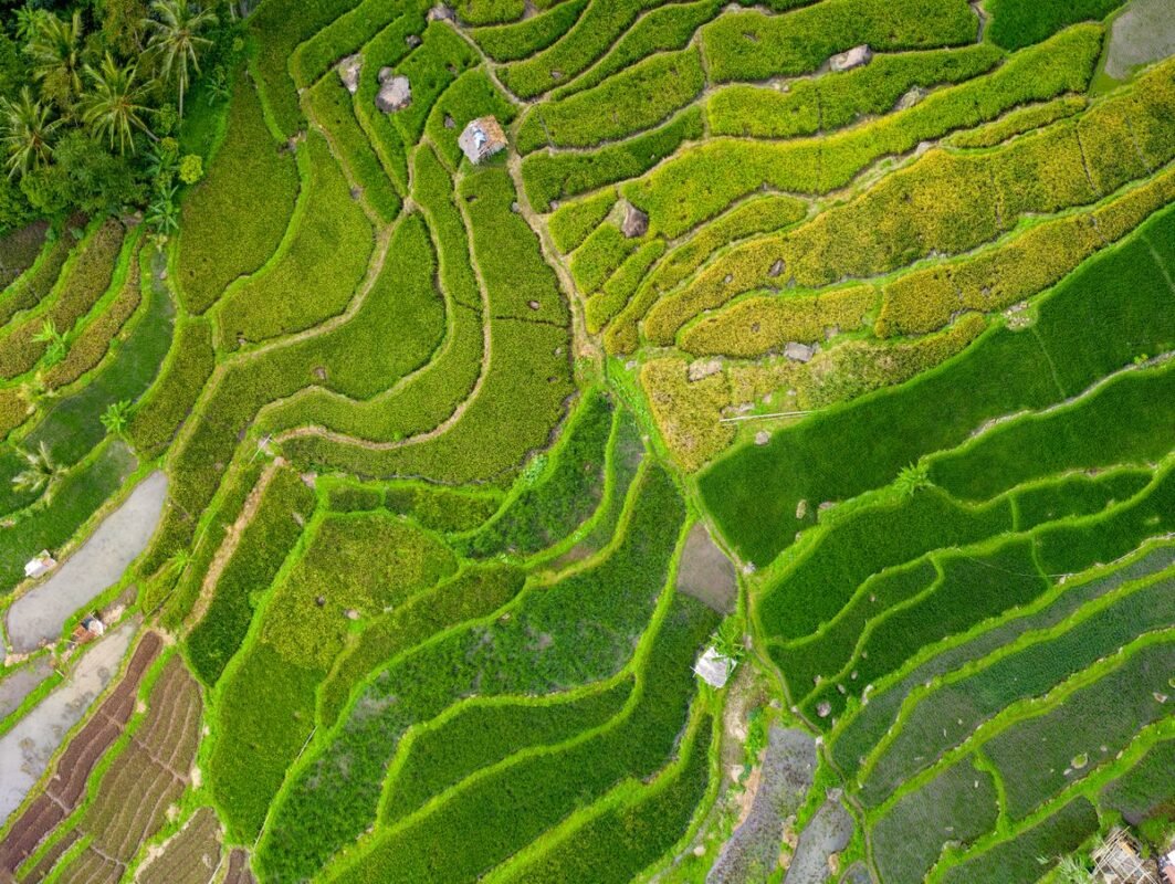 法院土地纠纷：追回土地使用权的诉讼时效