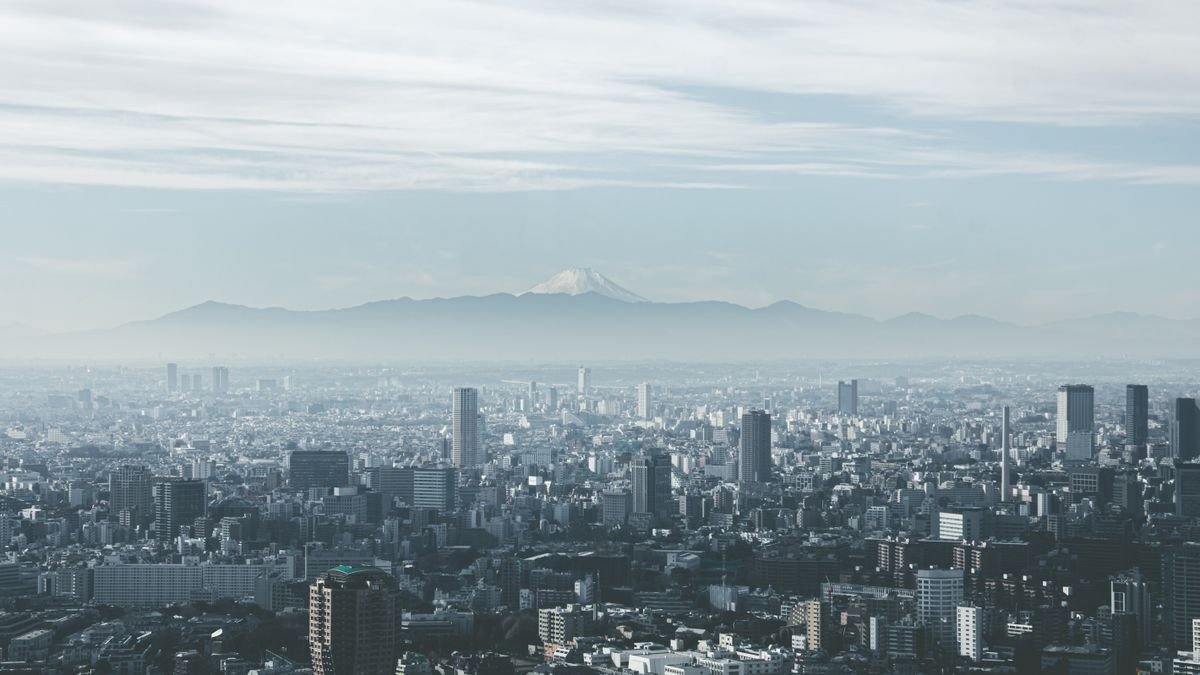 考察越南市场：外国投资者须知的法律壁垒