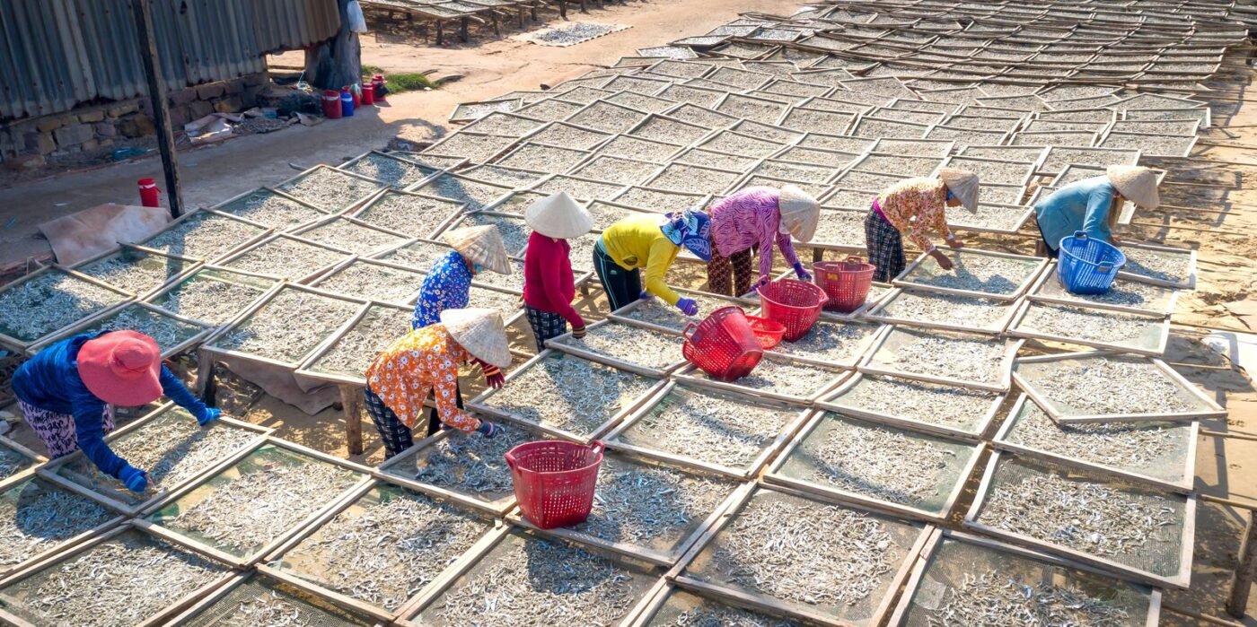 China+1 for food processing: Vietnam, Thailand or Indonesia — Where to Put the Factory?