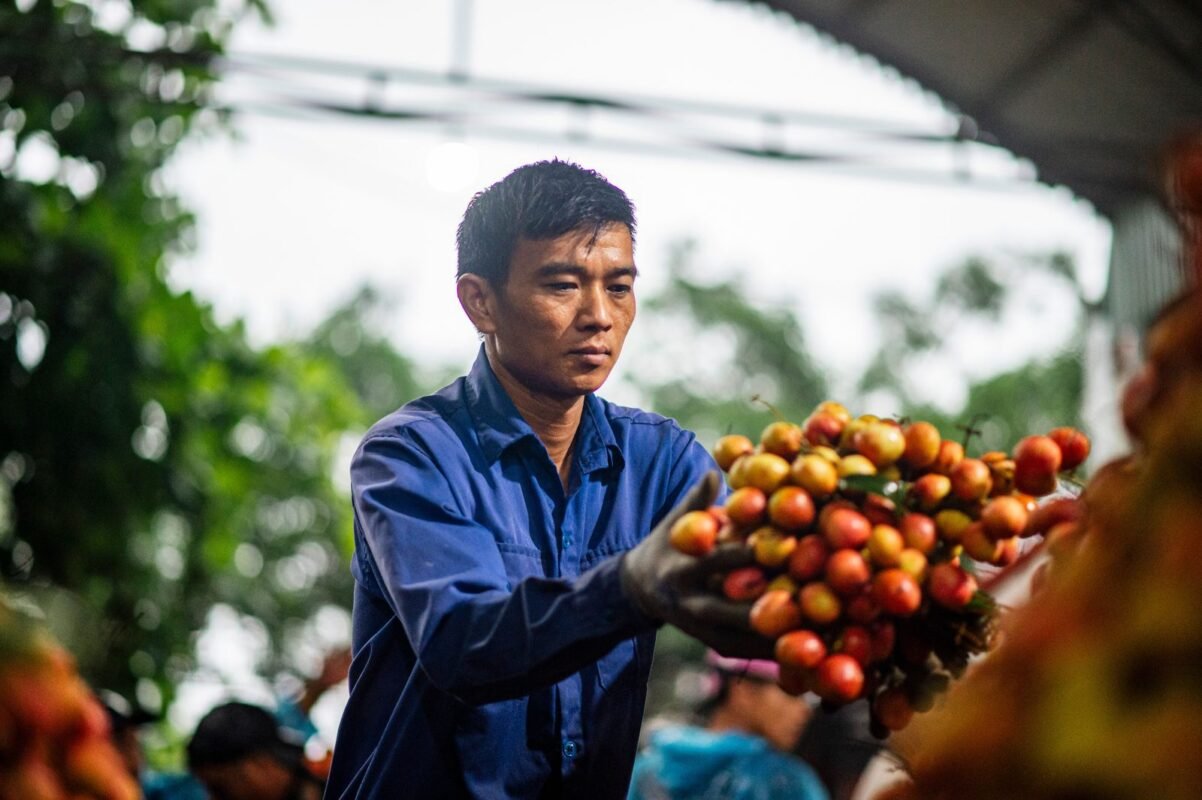 Chinese Investors Opening a Second Factory in Vietnam: What Differs from the First Time on Procedures, Incentives and Risks?
