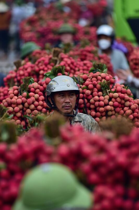 Chọn hình thức đầu tư cho Sàn thương mại điện tử Trung Quốc bán hàng xuyên biên giới: công ty con, liên doanh hay văn phòng đại diện? 1 Chọn hình thức đầu tư cho Sàn thương mại điện tử Trung Quốc bán hàng xuyên biên giới: công ty con, liên doanh hay văn phòng đại diện?