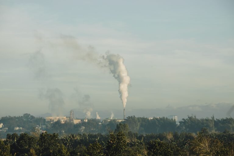 Environmental Licensing Inside Industrial Parks: China vs Vietnam