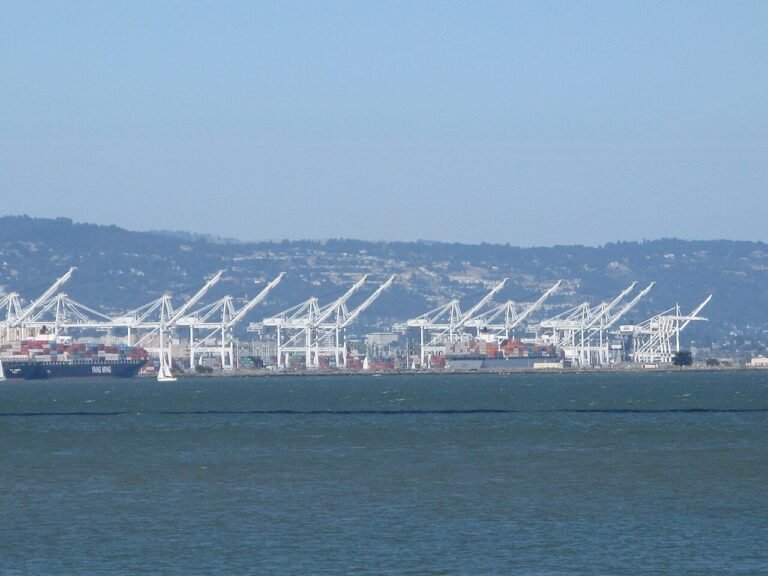 Container cranes at a port — illustrating service exports to the EU
