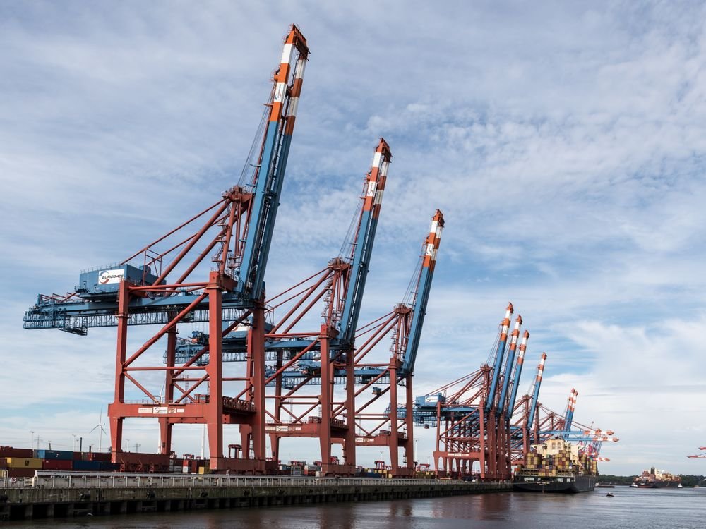 Declared value rejected by customs — how businesses can appeal