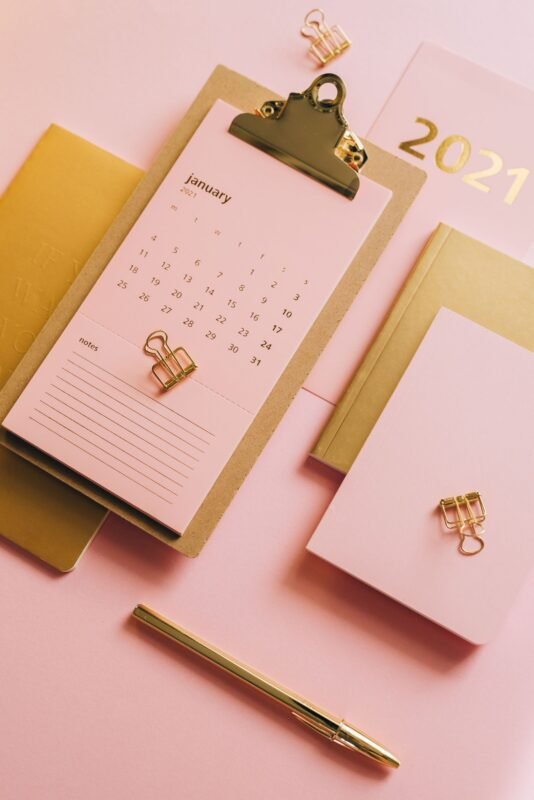 Social insurance sickness and maternity benefit settlement timeline — planner and calendar