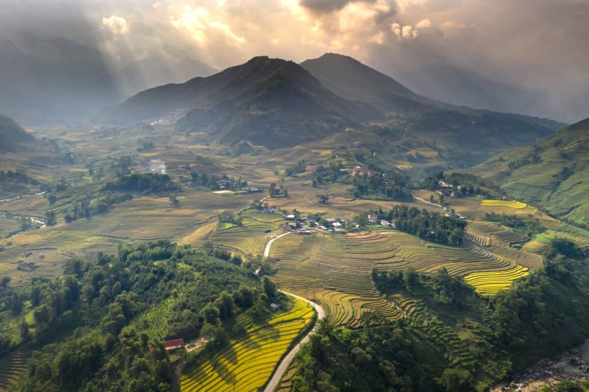 FDI company acquiring agricultural land use rights — terraced rice fields in Vietnam