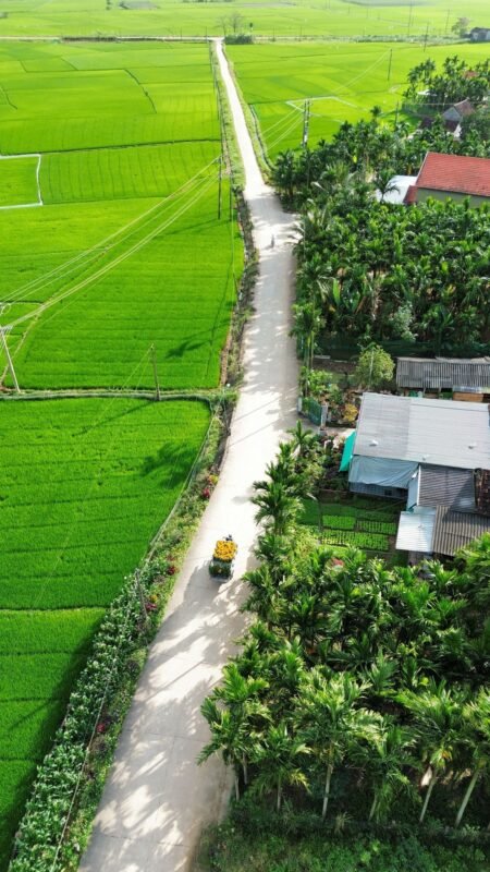 外资公司受让农用地使用权 — 越南乡村稻田航拍
