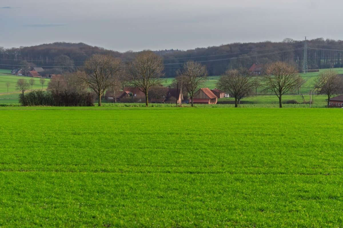 Building houses on agricultural land — green farmland and farmhouses