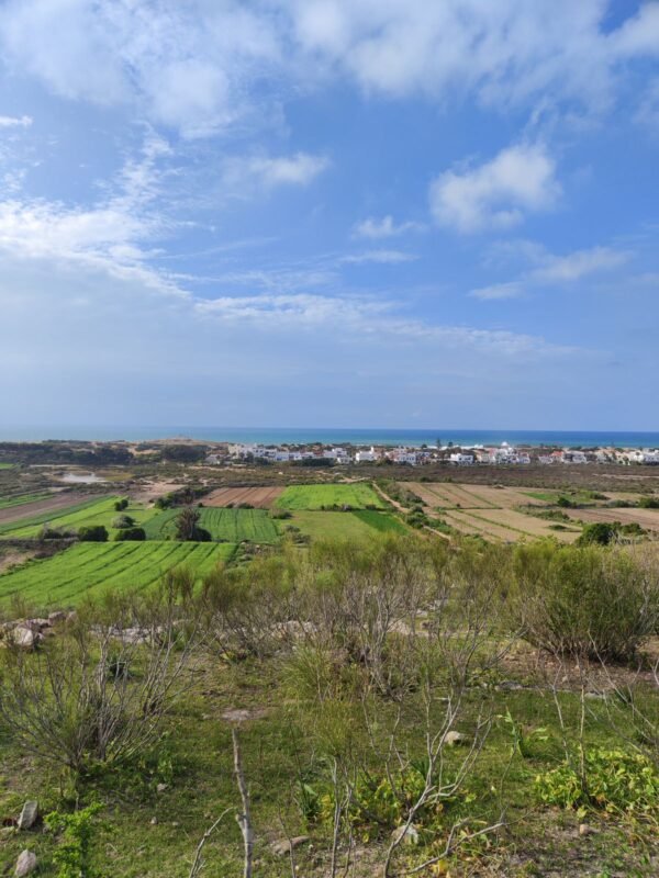 Contributing land use rights as capital — aerial view of farmland