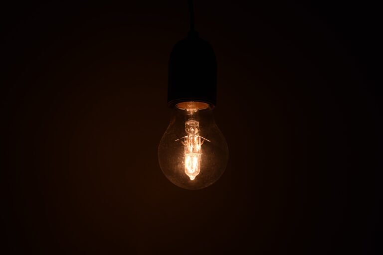 Close-up of an illuminated light bulb glowing in the dark — illustration for the article on intellectual property capital contribution