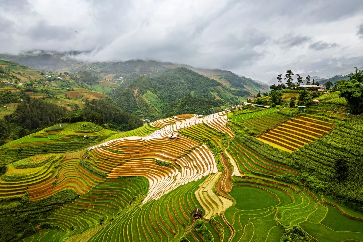 Land-Use Purpose Conversion for Investment Projects in 2026: New Rules 1 Aerial view of terraced fields — illustration for the article on land-use conversion