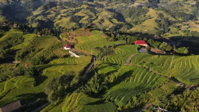 Ruộng bậc thang nhìn từ trên cao — minh họa bài viết về chuyển mục đích sử dụng đất