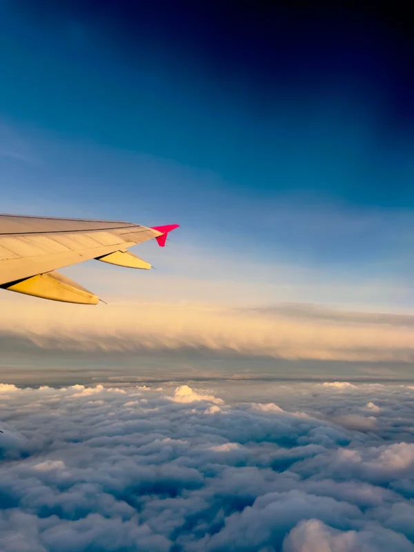 Airplane wing in the sky — conditions and deposit for the international travel license
