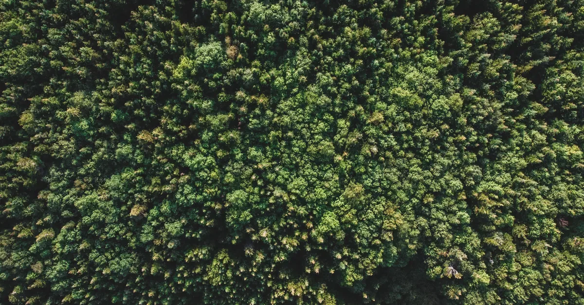 绿色森林航拍——越南环境保护税