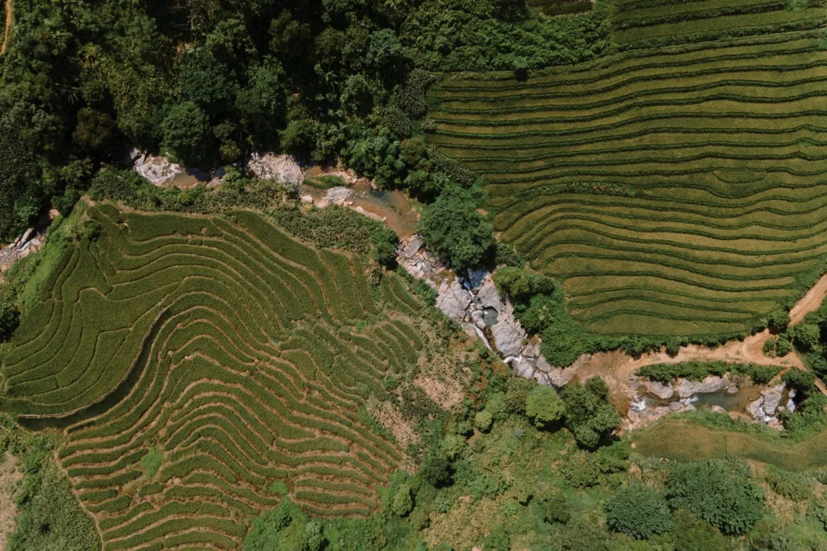 Lush green rice terraces in Lao Cai, Vietnam
