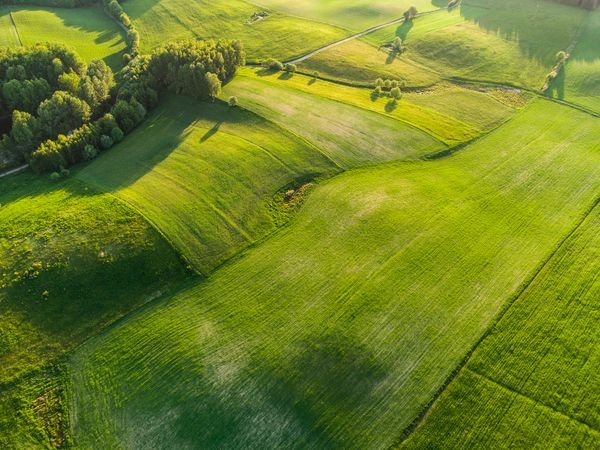 Land Lease Contracts Signed Before the Investment Law 2025 Took Effect: Which Clauses Need Review? 1 Land Lease Contracts Signed Before the Investment Law 2025 T