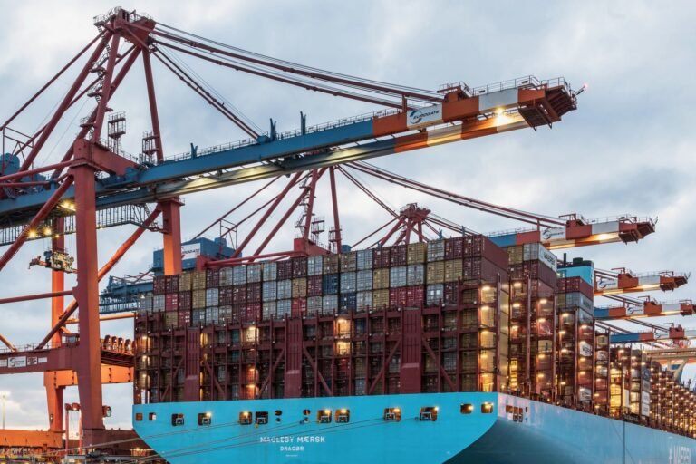 Tàu container tại cảng châu Âu — C/O EVFTA