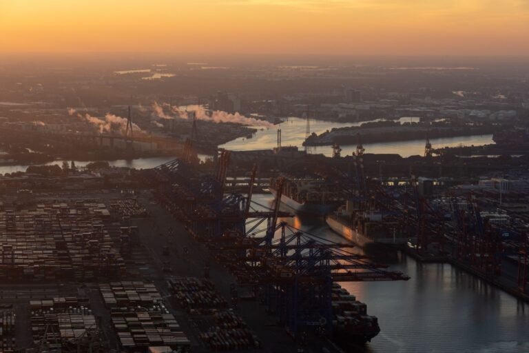 Container ship at a European port — EVFTA Certificate of Origin