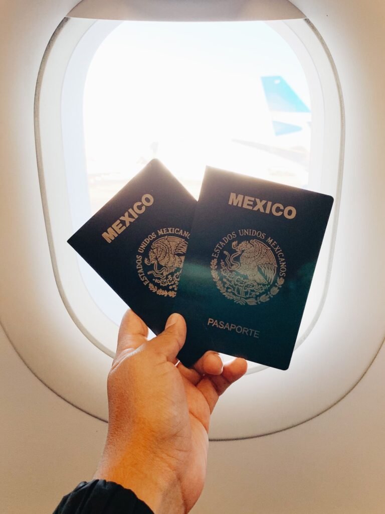 Vietnam E-Visa for foreign investors — passports held at the airplane window