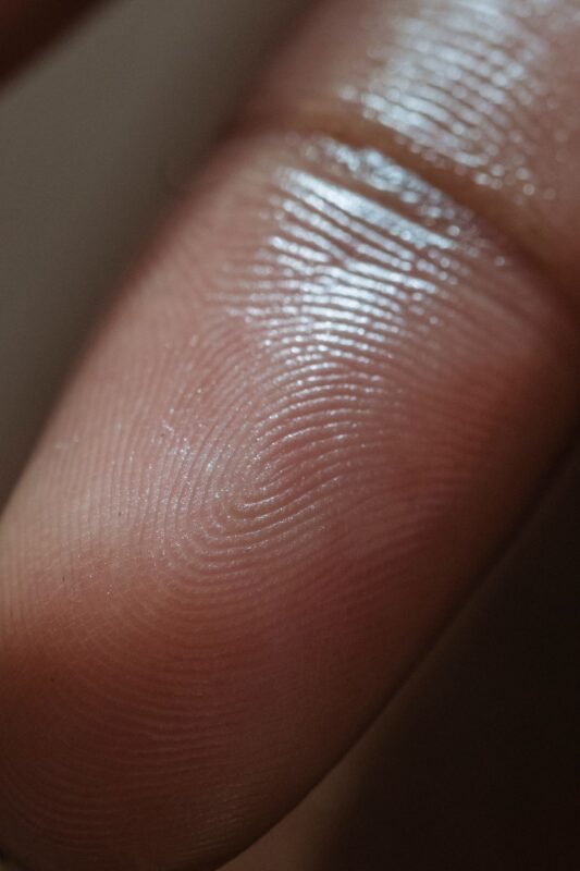 Macro view of fingerprint ridges for biometric security