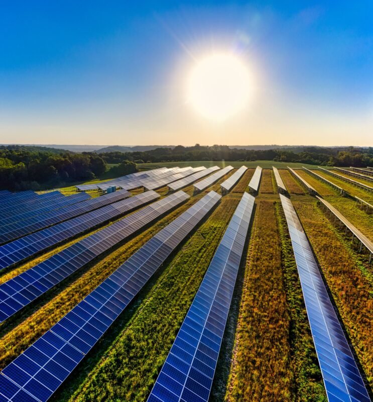 Manufacturing FDI Enterprises and Vietnam's Net Zero Pledge: Emission Reduction Duties