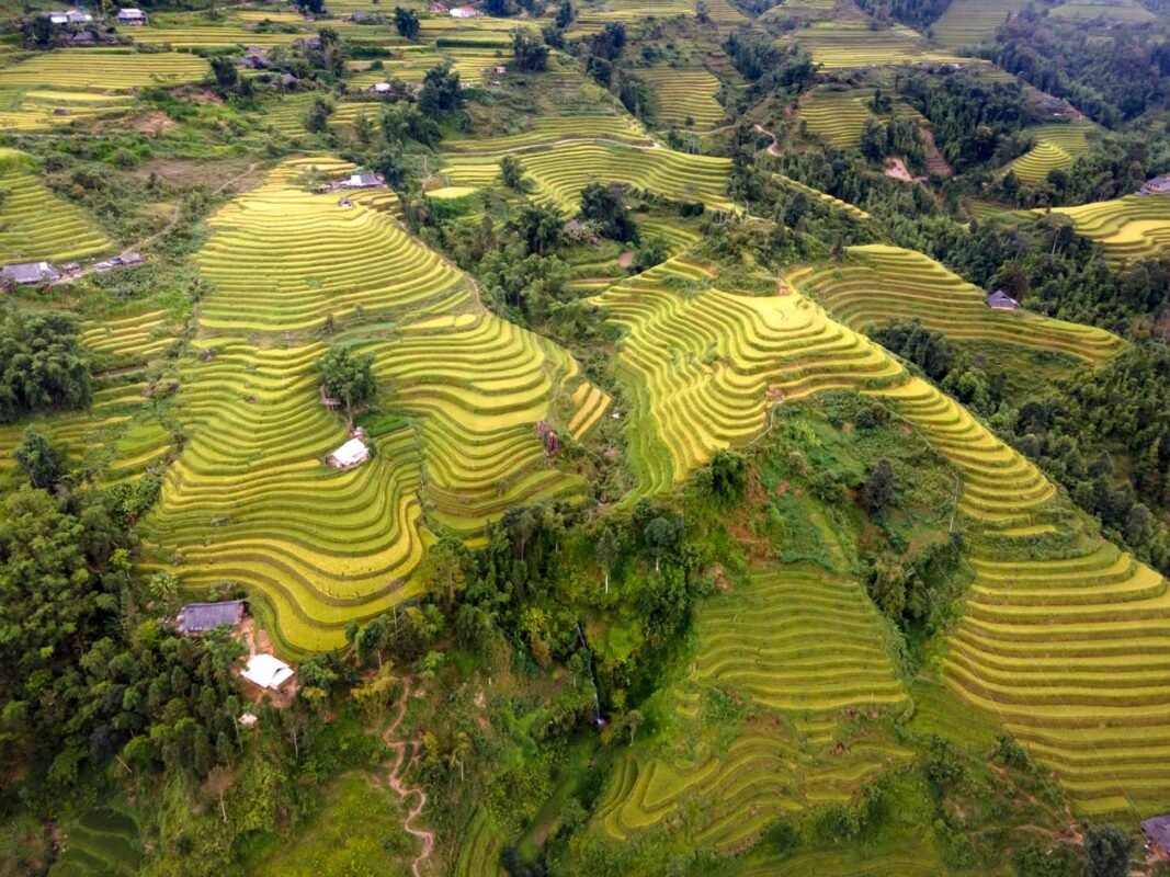 越南山区梯田航拍——在越南注册地理标志示意，无人物