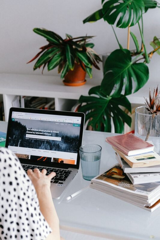 Online business registration on a laptop