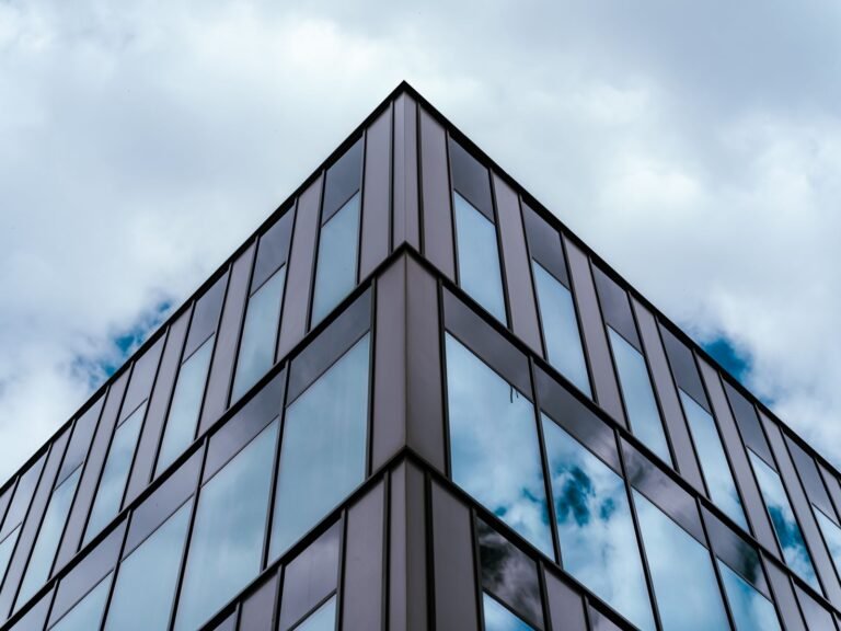 Investor capital withdrawal, company dissolution and the investor residence card