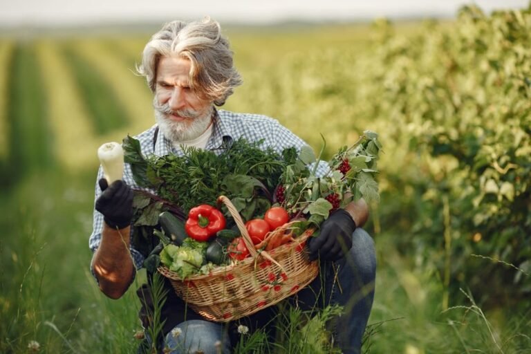 Fresh vegetables harvested for food processing supply chain