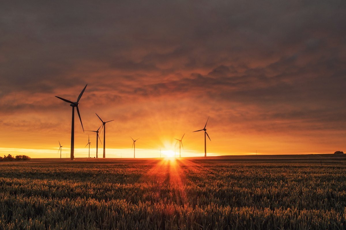 Wind turbines renewable energy in Ninh Thuan