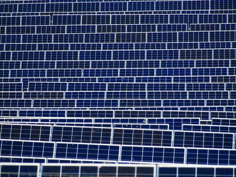 A field of solar panels under a clear sky