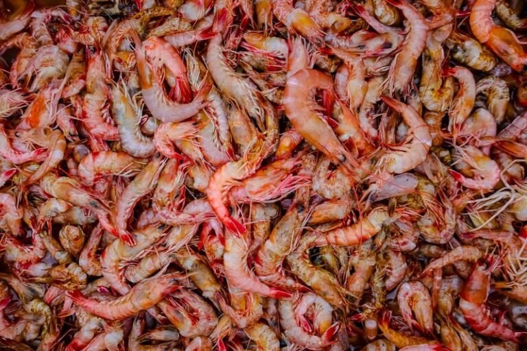 Chợ hải sản — minh họa biến động giá cả và lạm phát