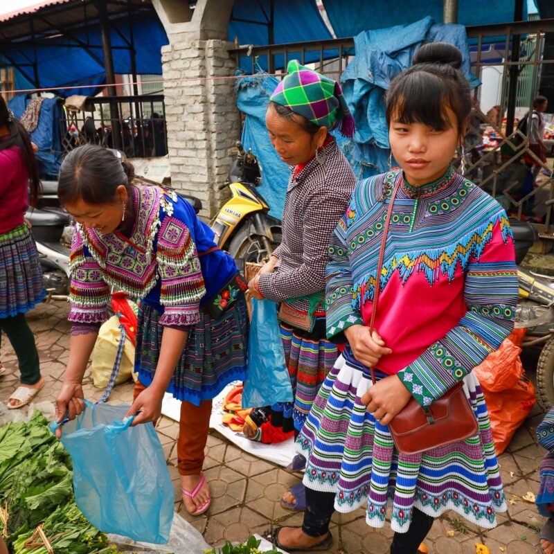 Lao Cai and Cao Bang Parks: Potential for China-Market-Oriented FDI