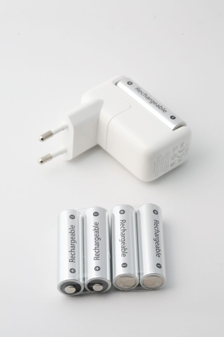 Lithium Battery Cathode and Anode Materials: A Niche for Korean and Chinese Investors