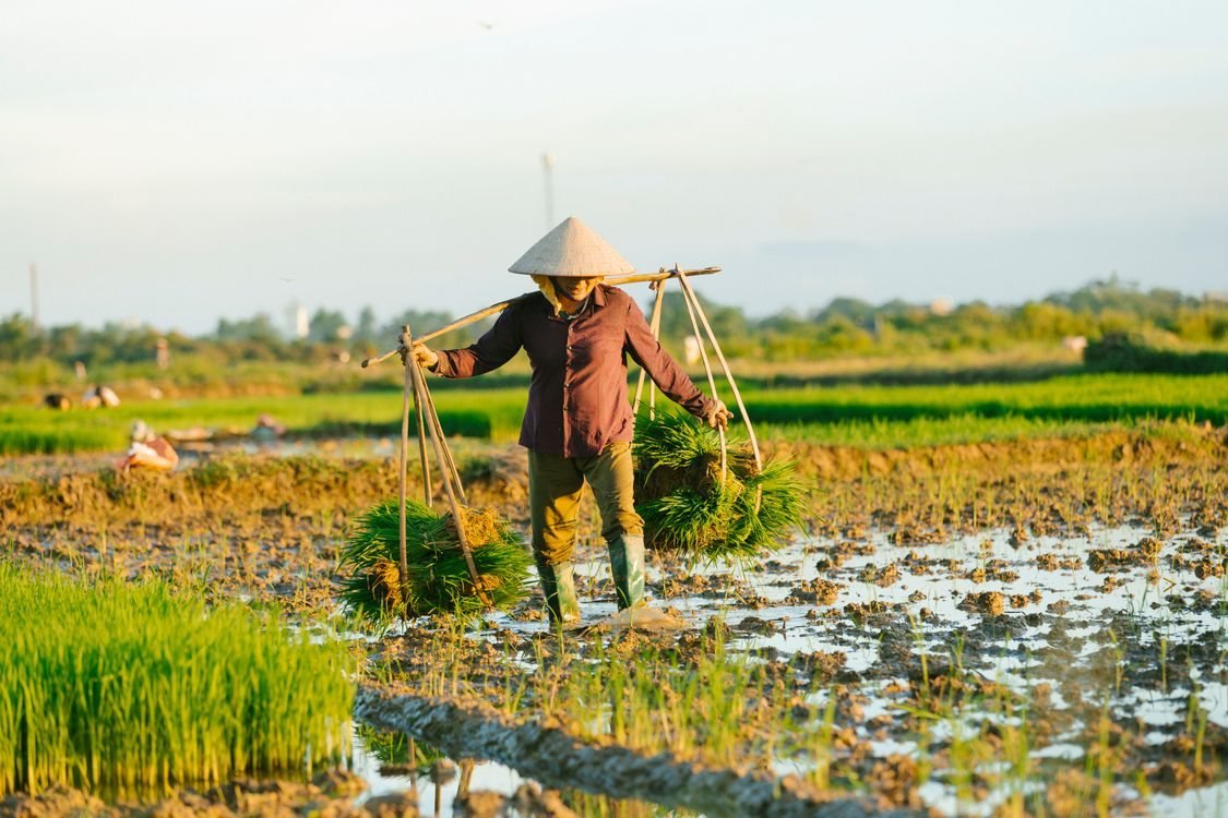 Mass Hiring in Quang Ninh: Labor Pool, Actual Wages and Turnover Rates 1 Port and industrial zone in Quang Ninh province