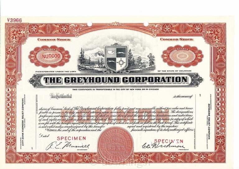 Stock certificate — illustrating maximum foreign ownership ratio