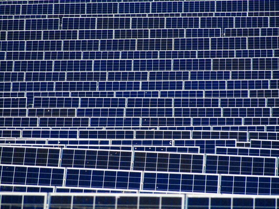 A field of solar panels under a clear sky