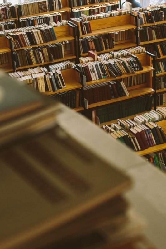 外国投资者在越南经营新闻出版:禁区与仍开放的大门 1 Brown wooden book shelves with books