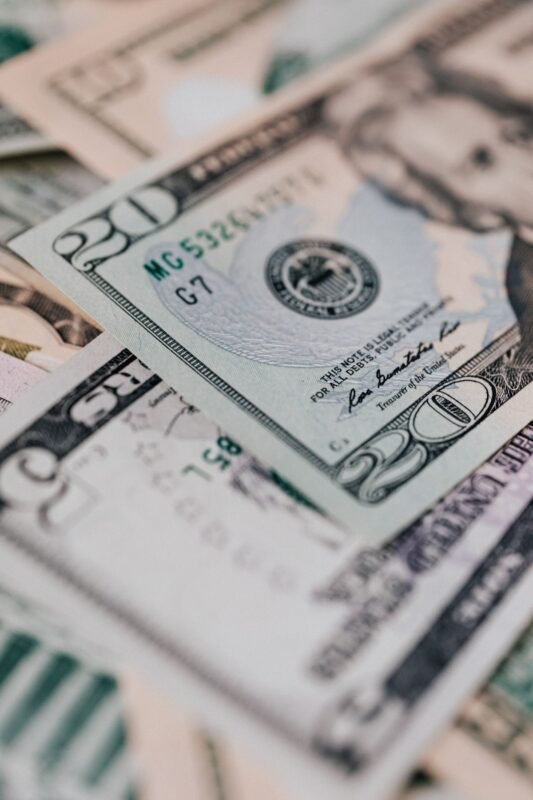 Official currency United States of America