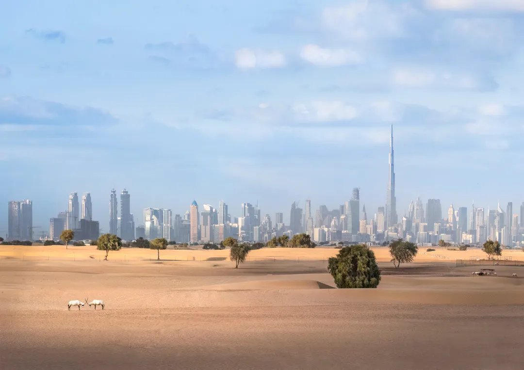 Container ship at sea — illustrating the Vietnam-UAE CEPA
