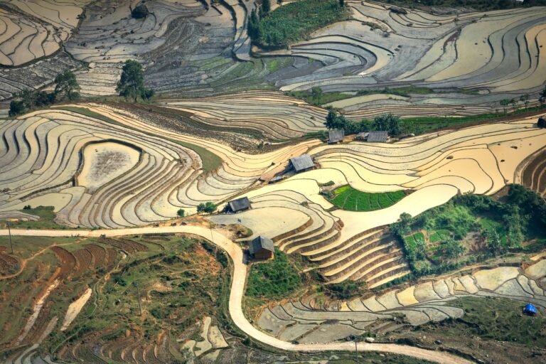 外资土地权利：越南 vs 中国（有期限土地使用权）