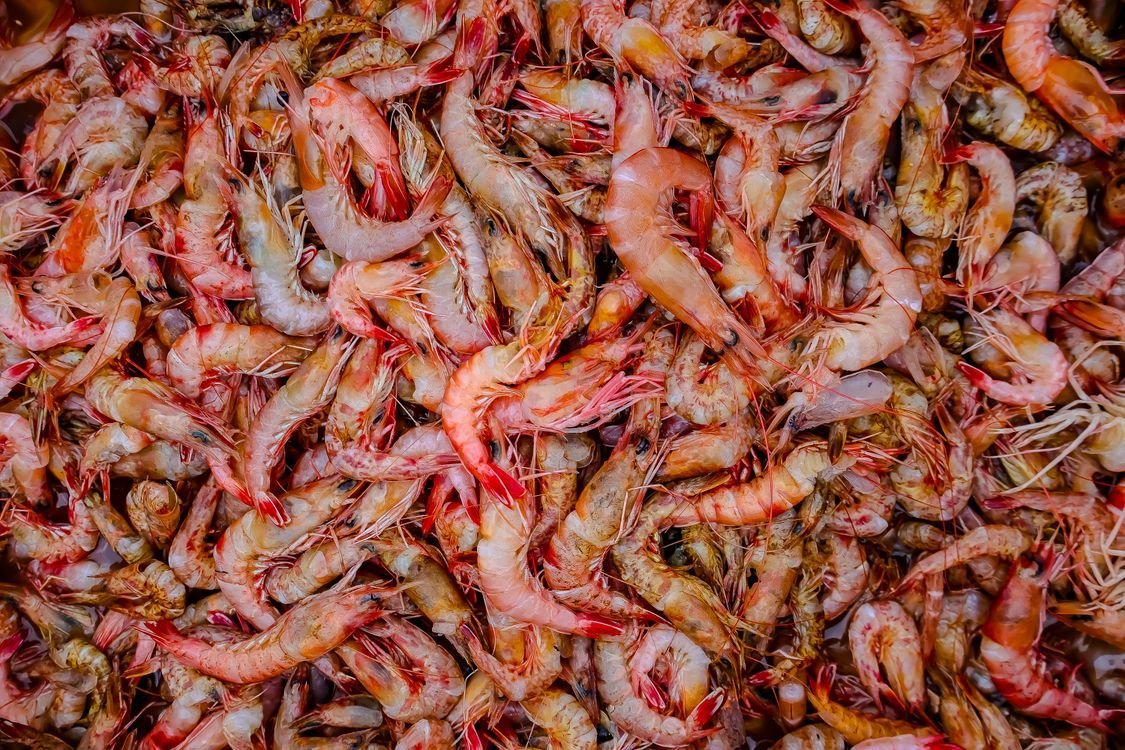 Xuất khẩu nông thủy sản sang Mỹ: quy định FDA về đăng ký cơ sở, thông báo trước và HACCP thủy sản 1 Tôm tươi tại chợ hải sản — Ảnh: Pexels (miễn phí bản quyền)