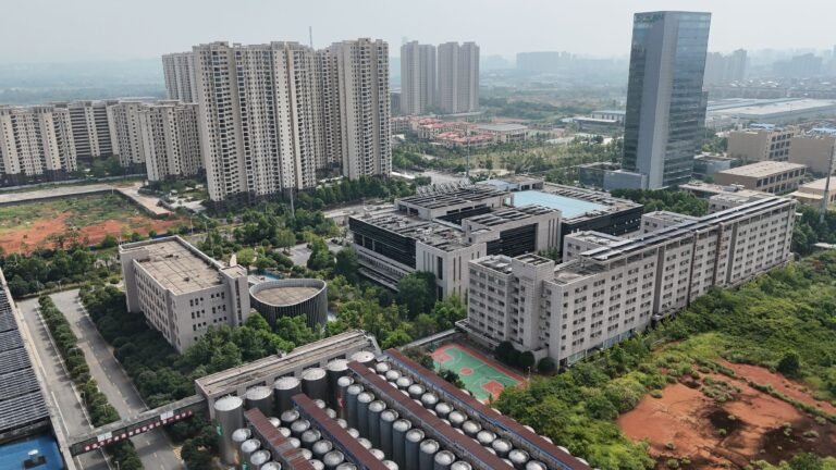 中资租工业区土地：特别法律注意事项